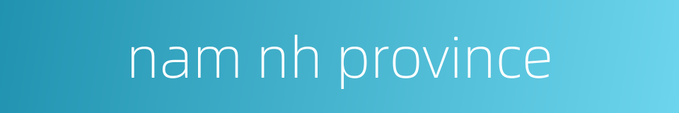 nam nh province的同义词