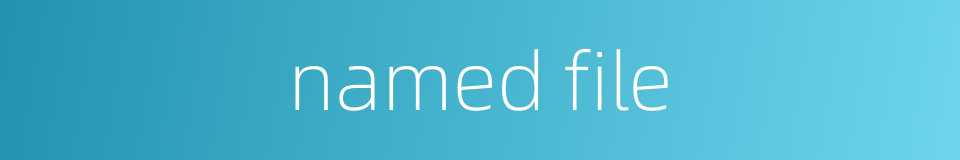 named file的同义词