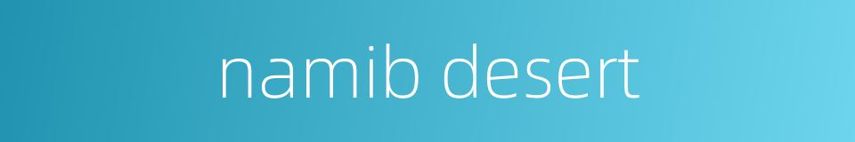 namib desert的同义词