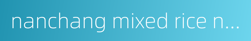 nanchang mixed rice noodles的同义词