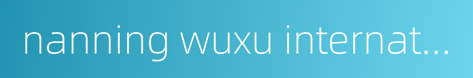 nanning wuxu international airport的同义词