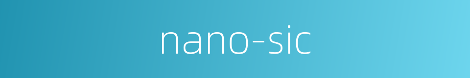 nano-sic的同义词