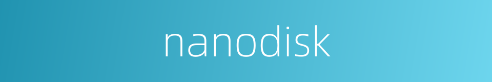 nanodisk的同义词