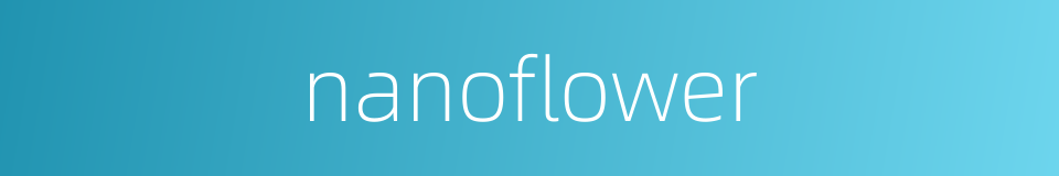nanoflower的同义词