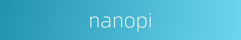 nanopi的同义词