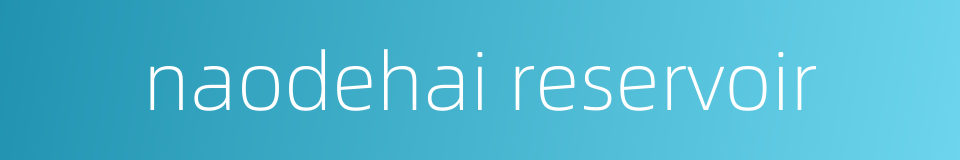 naodehai reservoir的同义词