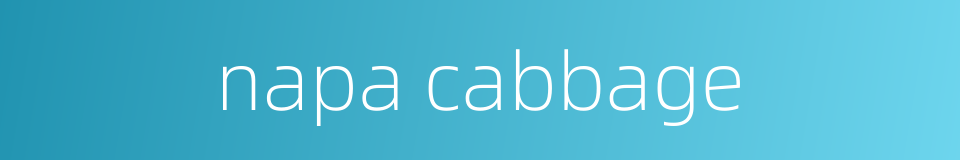 napa cabbage的同义词