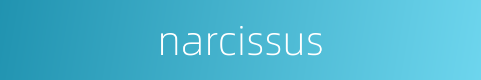 narcissus的同义词