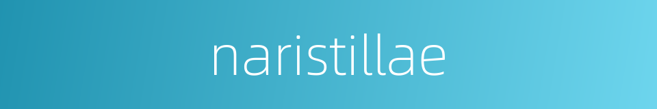 naristillae的同义词