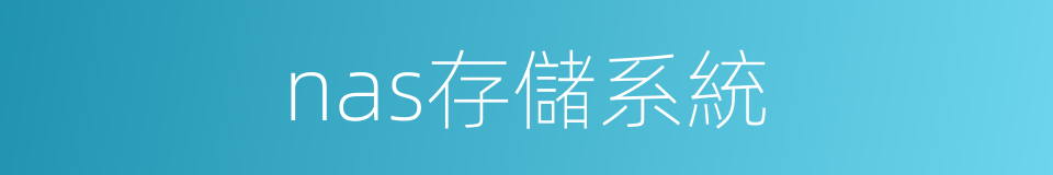 nas存儲系統的同義詞