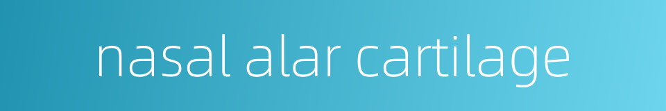 nasal alar cartilage的同义词
