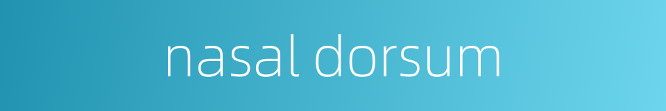 nasal dorsum的同义词