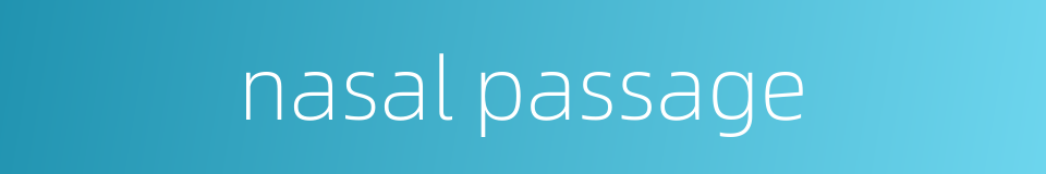 nasal passage的同义词