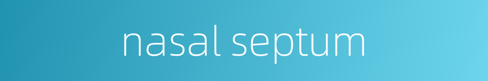 nasal septum的同义词