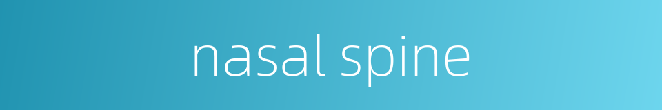 nasal spine的同义词