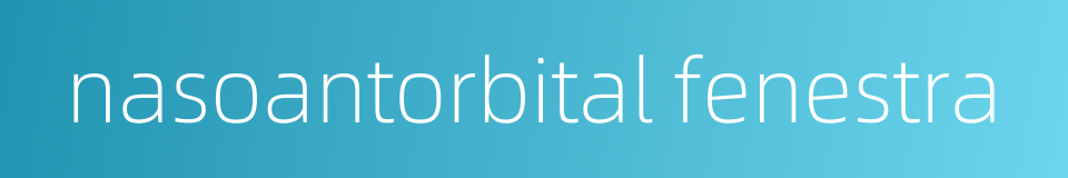 nasoantorbital fenestra的同义词