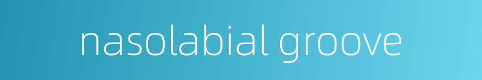 nasolabial groove的同义词