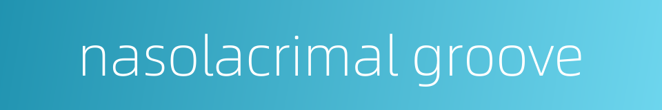 nasolacrimal groove的同义词