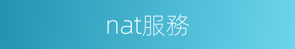 nat服務的同義詞