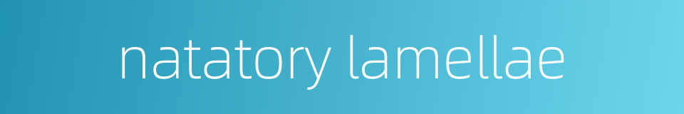 natatory lamellae的同义词