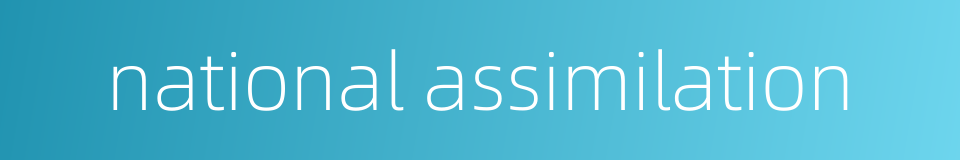 national assimilation的同义词