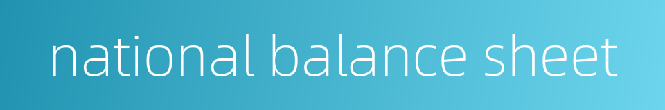 national balance sheet的同义词