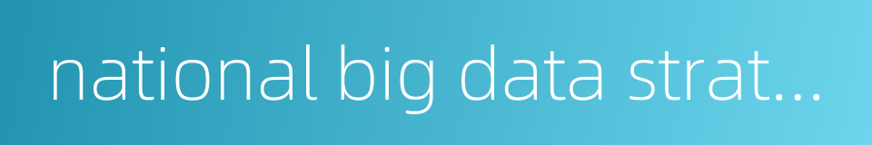 national big data strategy的同义词