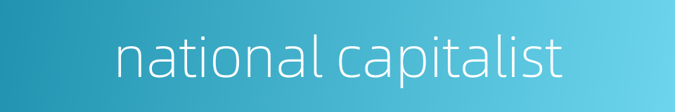 national capitalist的同义词