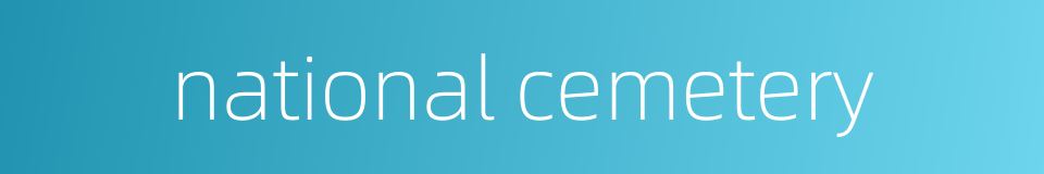 national cemetery的同义词