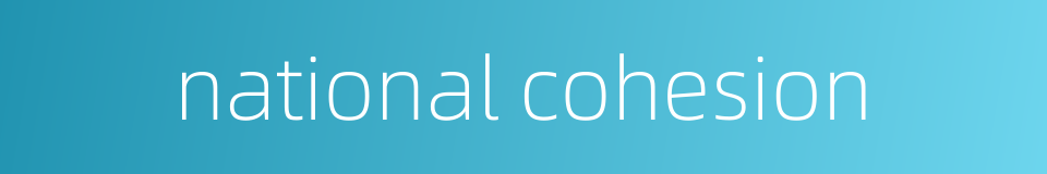 national cohesion的同义词