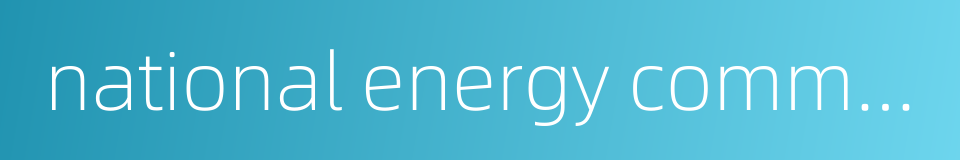 national energy commission的同义词