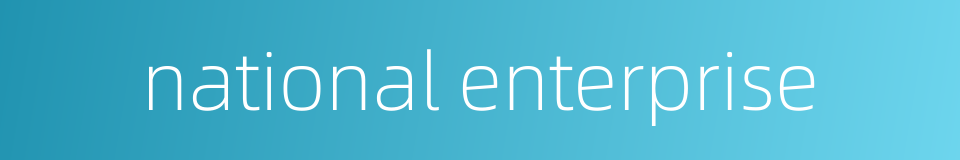 national enterprise的同义词