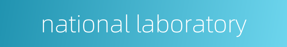 national laboratory的同义词