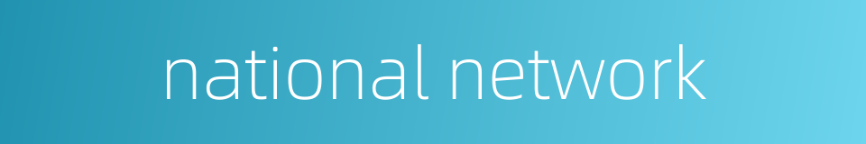 national network的同义词