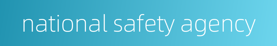 national safety agency的同义词