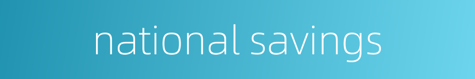 national savings的同义词