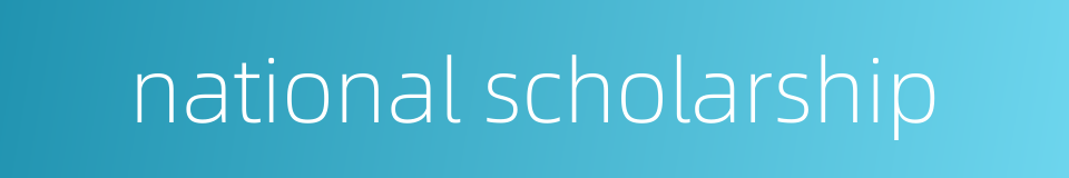 national scholarship的同义词