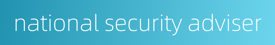 national security adviser的同义词