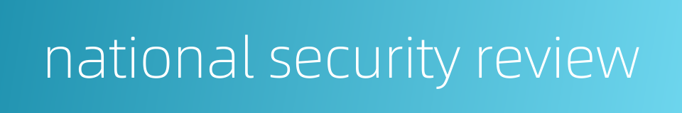 national security review的同义词