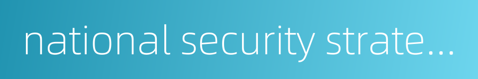 national security strategy的同义词