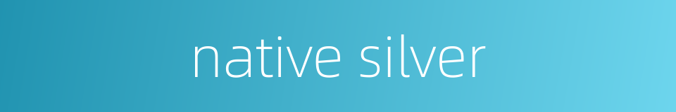 native silver的同义词