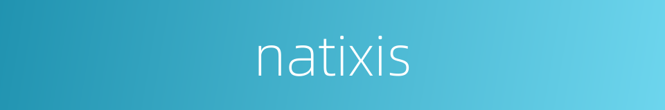 natixis的同义词