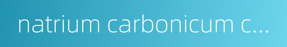 natrium carbonicum calcinatum的同义词