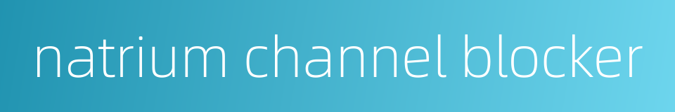 natrium channel blocker的同义词