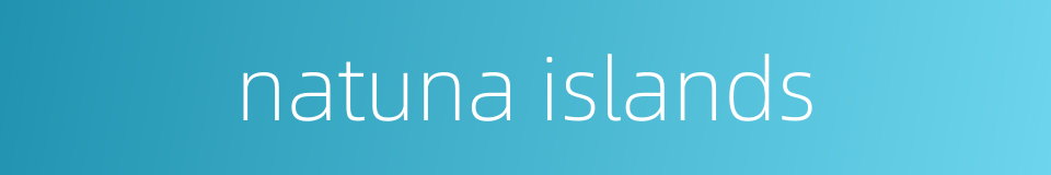 natuna islands的同义词