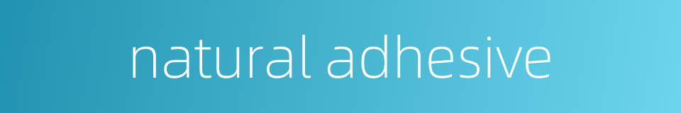 natural adhesive的同义词