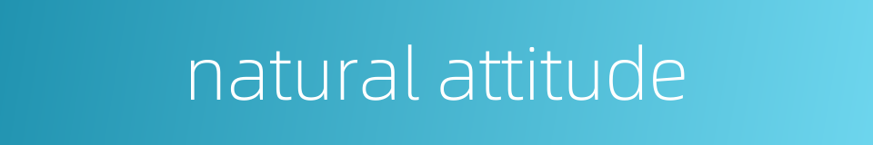 natural attitude的同义词