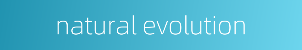 natural evolution的同义词