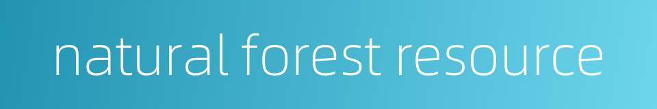 natural forest resource的同义词