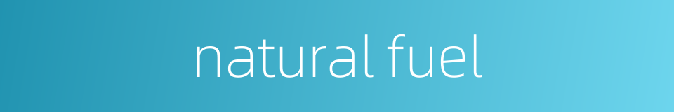 natural fuel的同义词